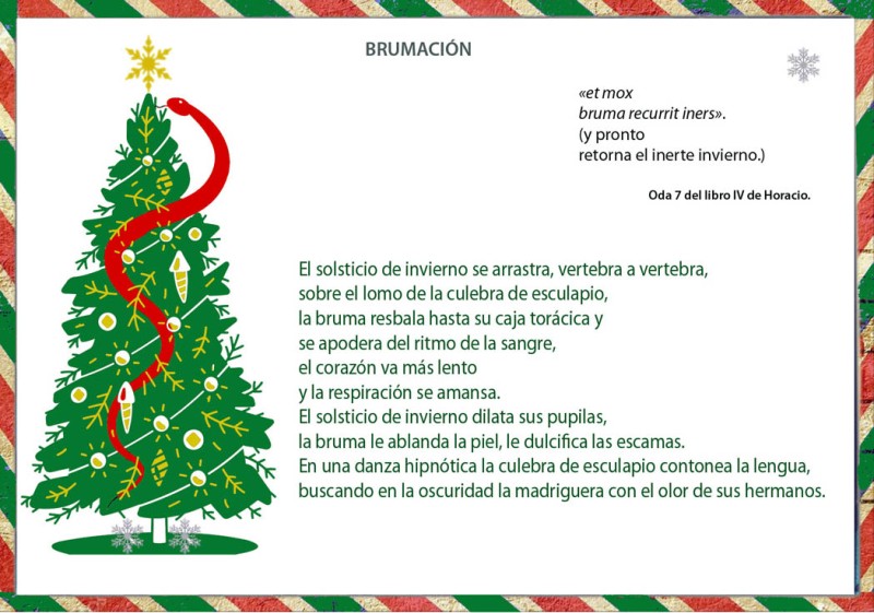 christmas_brumación-culebraesculapio